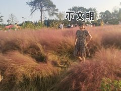 -金孔雀温泉旅游度假村