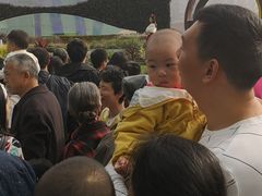 -重庆市江北嘴中央商务区中央公园