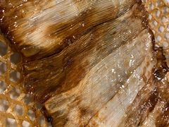 竹网鲈鱼-翠亭酒家(山西南路店)