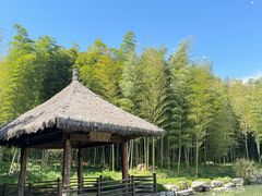 -兰亭风景区