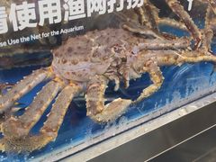 -盒马X会员店(上海森兰商都店)