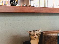 -咖法森林·咖啡  酒吧(天河店)