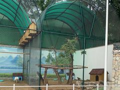 -北京市海淀外国语实验学校