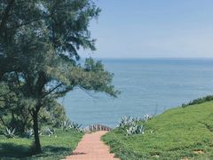 -漳州滨海火山岛自然生态风景区