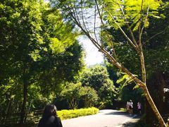 -田心森林公园
