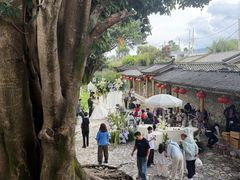 -大理文庙(大理古城)