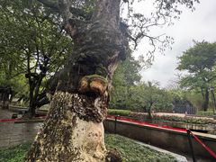 -桂林灵渠景区