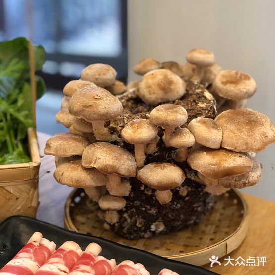 格林瓦纳新派轻食小火锅(斜桥街店)