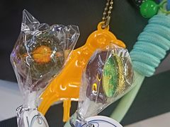 -广东科学中心
