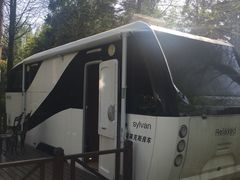 -崇明东平国家森林公园烧烤房车露营地