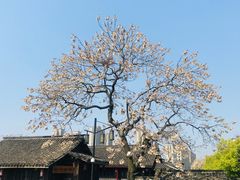 -院子餐厅·大锅菜·老杭帮(桥西直街店)