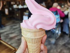 -红鼎坊·老成都火锅(新南门店)