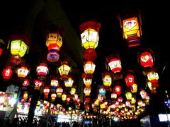 -锦江乐园舞狸花花游园会(夜场专享)