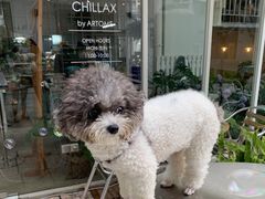 -CHILLAX轻乐时(侨建·Hi City店)
