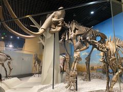 -国家自然博物馆