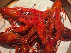 -靓靓蒸虾·头牌蒸虾(南山桂庙店)