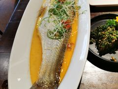 -金枝玉叶上海人家食府(三里河店)