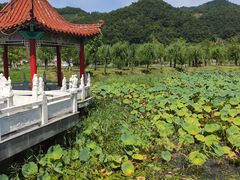 -河口景区