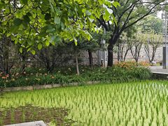 -北坞公园