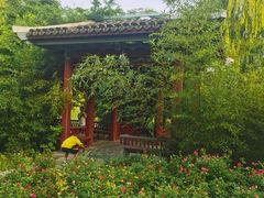-北坞公园