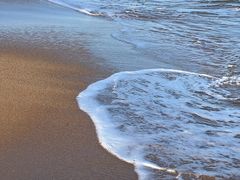 -北戴河转鱼·炒螃蟹酱餐厅