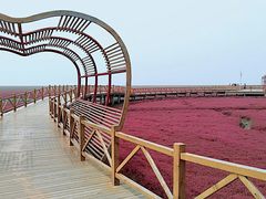 -红海滩国家风景廊道
