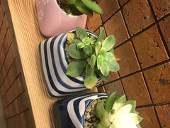 -吟松日式料理(莘庄店)