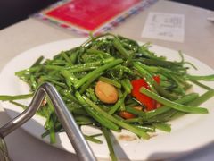 虾酱炒空心菜-肥仔文澳门猪骨煲(南京西路店)