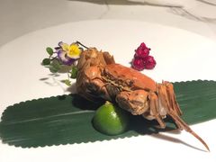 -姜君·千岛湖鱼头馆(浦东大道店)