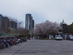 -上海国际商品拍卖有限公司(闵行分公司)