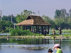 -前关湿地公园