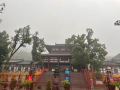 -潜山国家森林公园