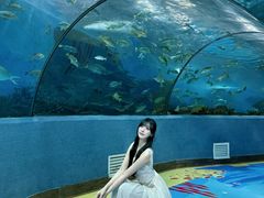-合肥海洋世界