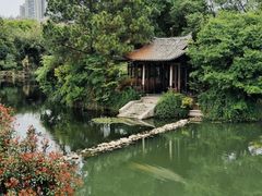 -三垟湿地