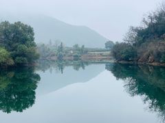 -龙坞茶村