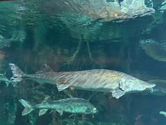 -华夏文旅海洋公园