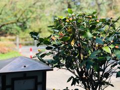 -随意茶庄·地道杭帮农家菜(梅家坞店)