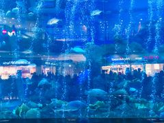 -成都浩海立方海洋公园