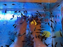 -汤连得温泉馆(宝山店)