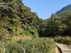 -广州市石门国家森林公园