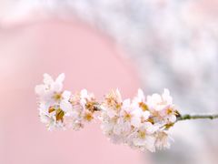 -上海辰山植物园