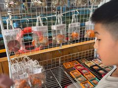 -蓝湾碧波·老字号·疍家非遗海上餐厅