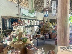 -大象粑粑造纸公园