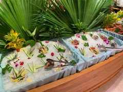 -海口绿发希尔顿酒店-田园汇自助餐·三文鱼·海鲜