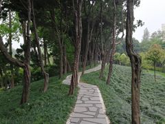 -嘉定紫藤园