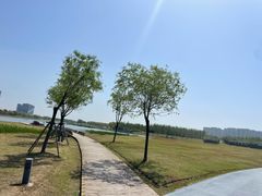 -春花秋色城市公园