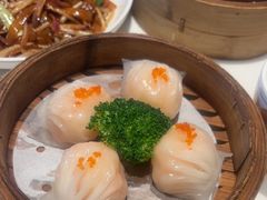 金牌星港记虾饺皇-食膳星港记·手工现做港式茶餐厅(吉联店)