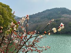 -白马涧龙池景区