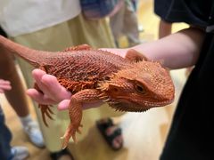 -上海昆虫博物馆