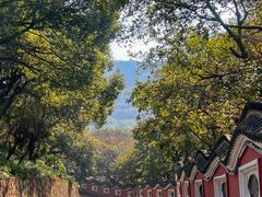 -句容茅山景区